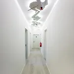 Hostel Musical Αλμπουφέιρα